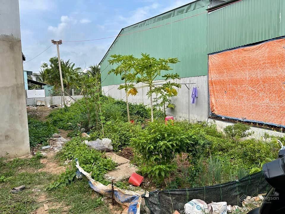 S0s! kẹt tiền bán nhanh lô đất xã tân an hội, 240m2, shr