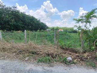 Còn sót lô trảng bàng giá rẻ, kp bàu mây, an tịnh, 350m2, shr, 495tr
