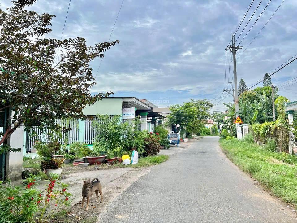 Siêu hot! bán nhanh lô đất xã phước vĩnh an, 199m², shr