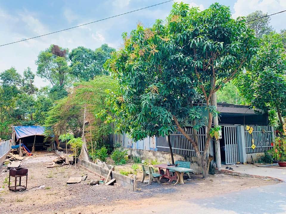 Siêu hot! bán nhanh lô đất xã phước vĩnh an, 199m², shr