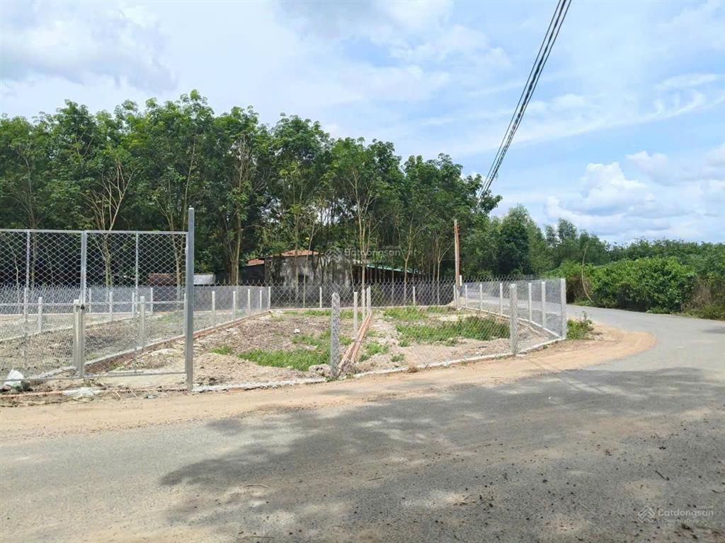 Lô góc mt nhựa đẹp nách, đường tỉnh lộ 7, 331m2 (cln), shr, 795tr