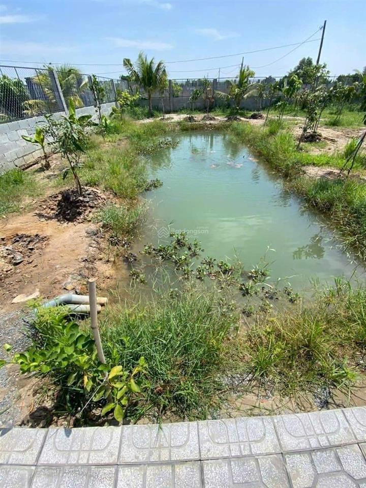Hot hot hot! bán nhanh nhà vườn trung tâm, 1000m2, shr, 1 tỷ 295