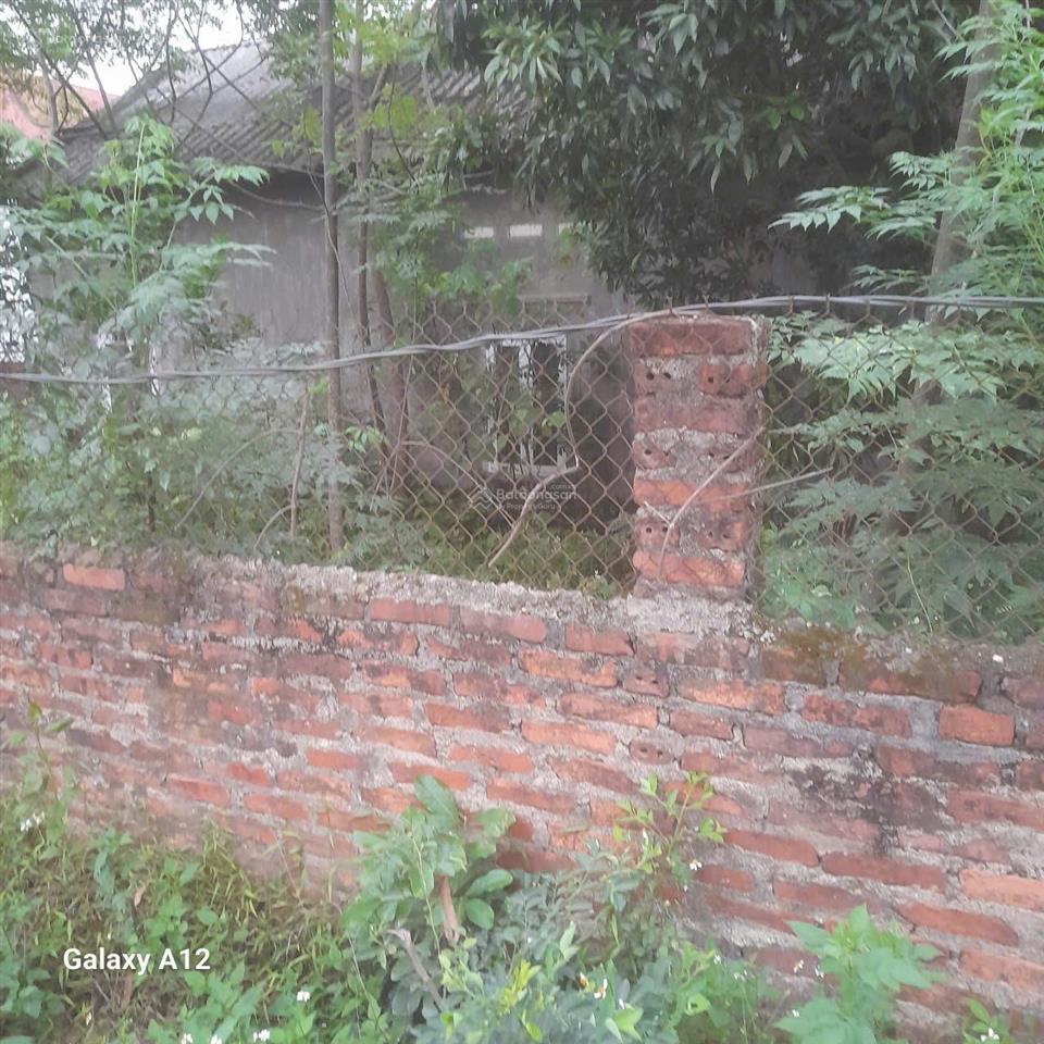 Bán đất tại thôn cẩm trạch, 6,7 tỷ, 935 m2, hàng hiếm giá siêu hời