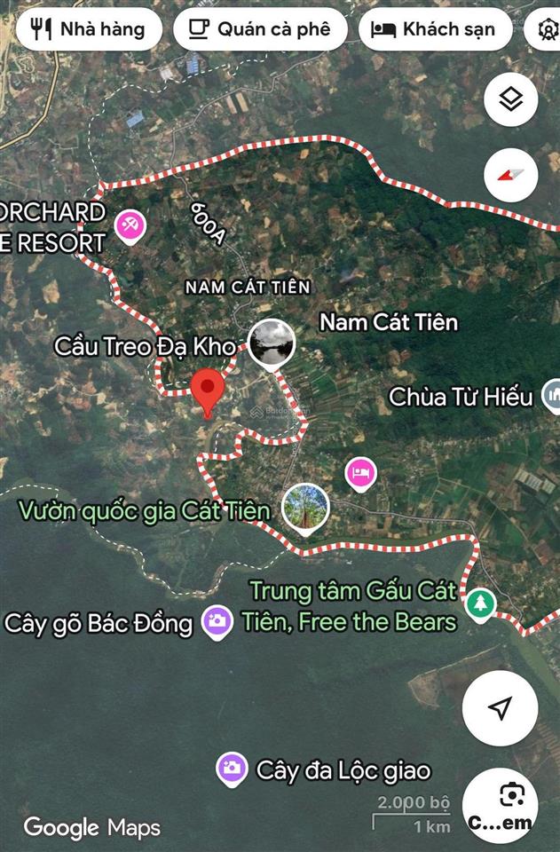 19.000m2  600 gốc sầu riêng 1 tuổi, cách sông 100m, cách nhựa 70m, đất thoai thoải, sổ hồng cln