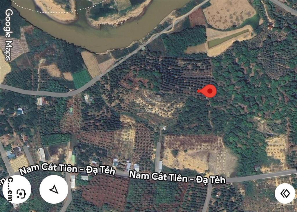 19.000m2  600 gốc sầu riêng 1 tuổi, cách sông 100m, cách nhựa 70m, đất thoai thoải, sổ hồng cln