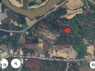 19.000m2  600 gốc sầu riêng 1 tuổi, cách sông 100m, cách nhựa 70m, đất thoai thoải, sổ hồng cln