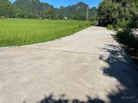 Cần tiền bán gấp mảnh đất xóm thượng, xã lạc thịnh, huyện yên thủy, tỉnh hòa bình