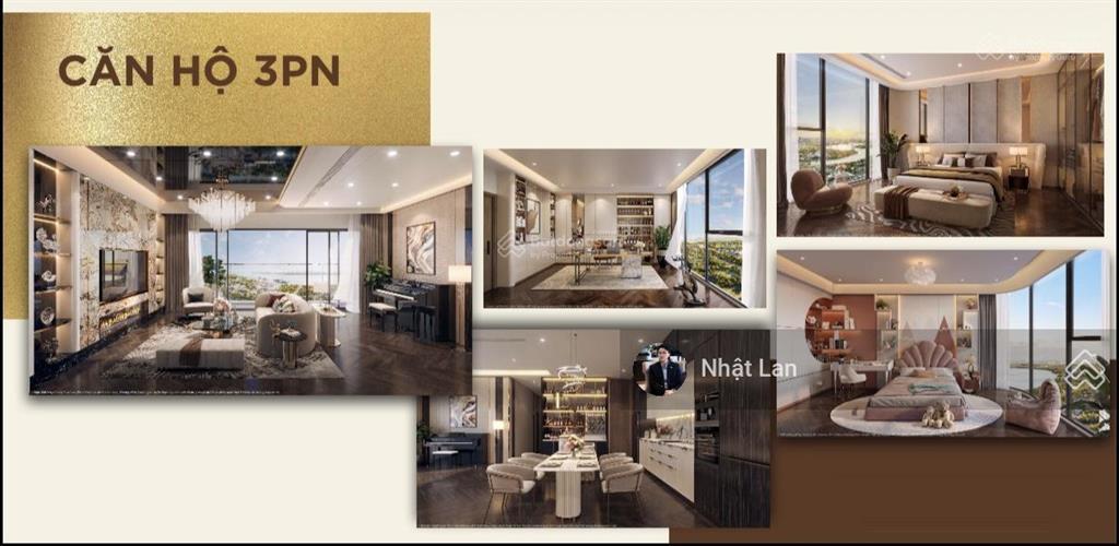 Đầu tư sớm căn hộ đào trí, thanh toán 10% ký hđmb. đã hoàn thiện móng.