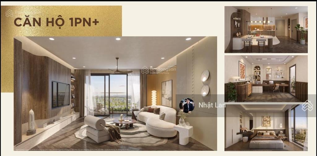 Đầu tư sớm căn hộ đào trí, thanh toán 10% ký hđmb. đã hoàn thiện móng.