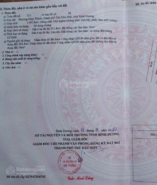 Bán đất mt phạm ngũ lão tdm hcm