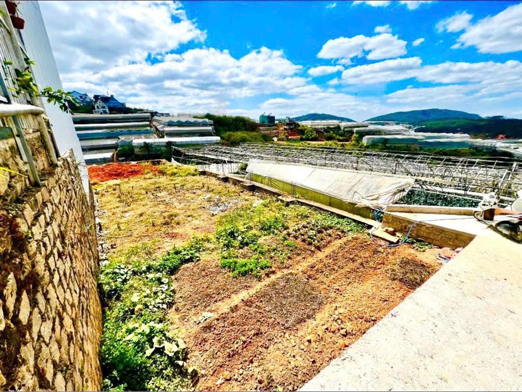 Không mua tiếc lô đất 279m2 trung tâm tp đà lạt view đẹp  giá ngộp 6.5 tỷ