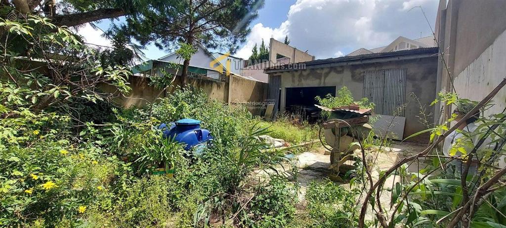 Lô đất 238m² full thổ cư trung tâm tp đà lạt chỉ còn 5,5 tỷ giá cực hiếm trong khu vực