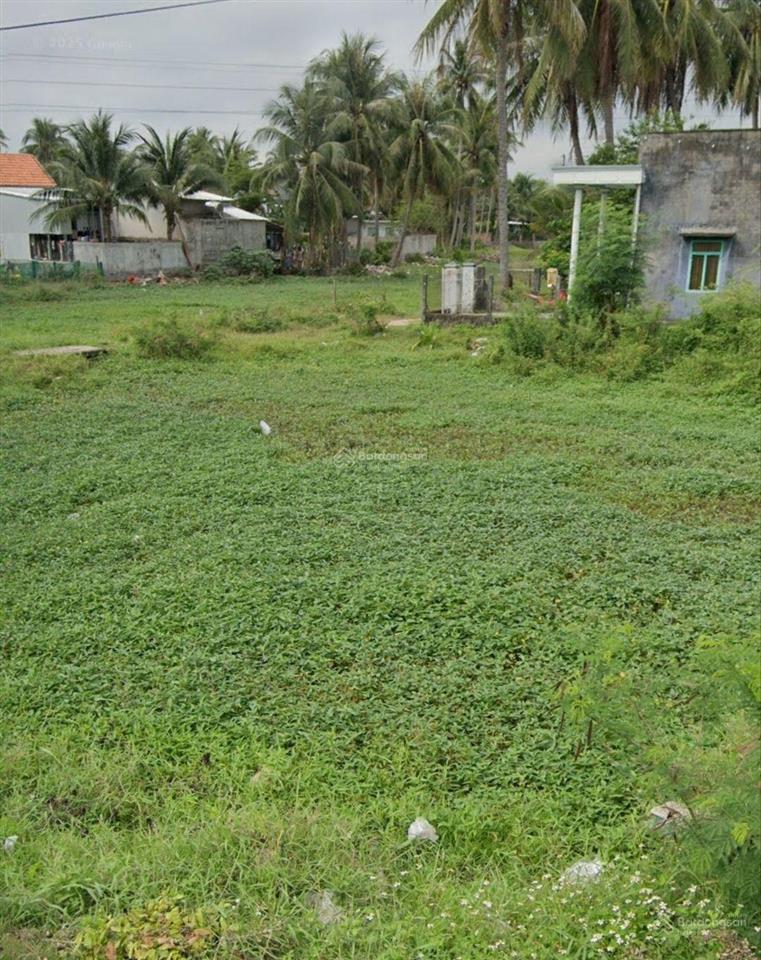Bán đất xuân tự 228,5m2 vạn hưng | giá chỉ 15 triệu/m2