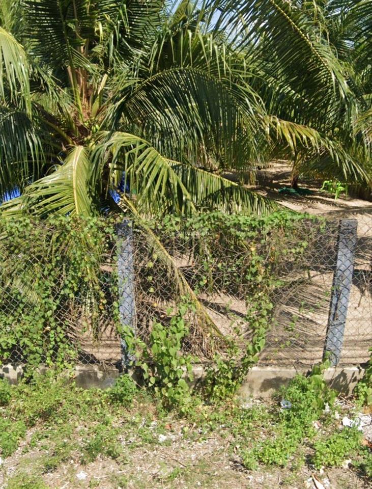 Bán đất xuân tự 328,5m2 vạn hưng | giá chỉ 23,5 triệu/m2