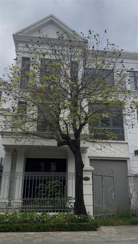 Không có nhu cầu ở, chị gái cần bán căn biệt thự song lập phân khu nguyệt quế.  0388 206 ***