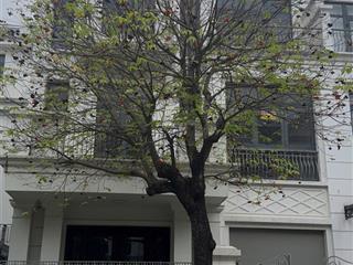 Không có nhu cầu ở, chị gái cần bán căn biệt thự song lập phân khu nguyệt quế.  0388 206 ***