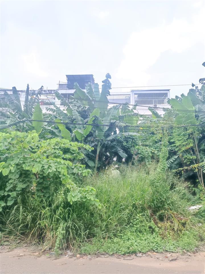 Bán khuôn đất khu 1, thạnh mỹ lợi, quận 2, 8x17,5m, hướng đông nam, giá đầu tư