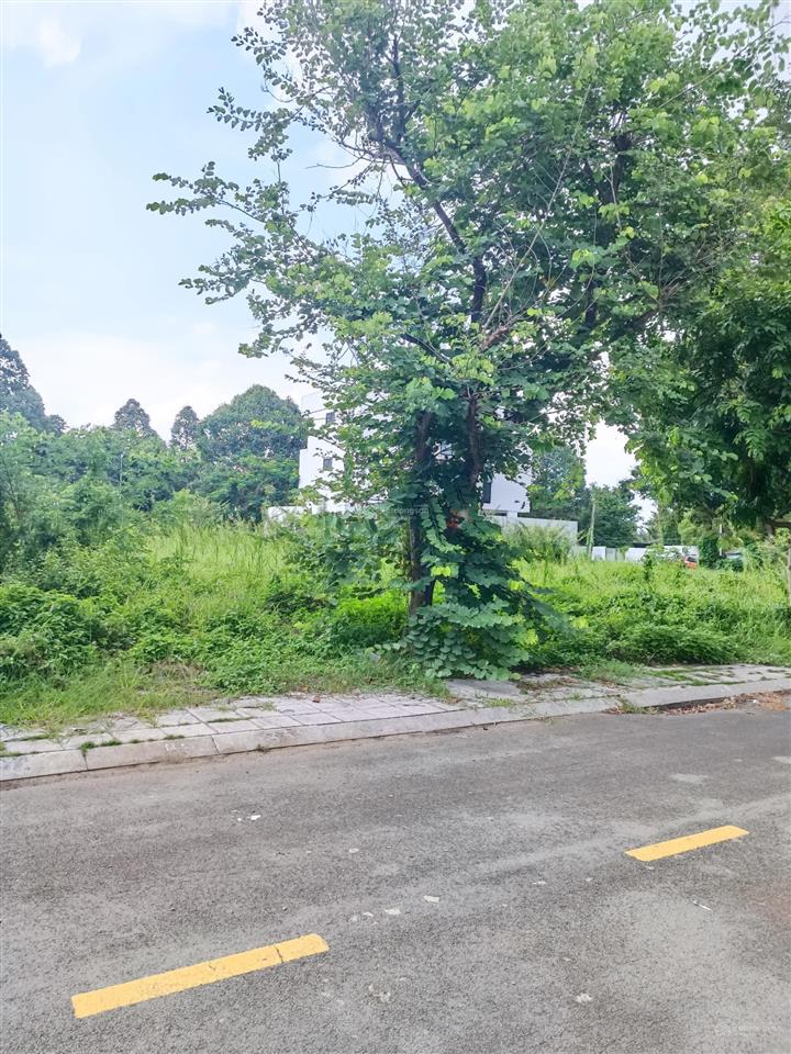 Bán khuôn đất dự án huy hoàng, thạnh mỹ lợi, quận 2, 8x20m, xây hầm 6 tầng giá tốt còn thương lượng