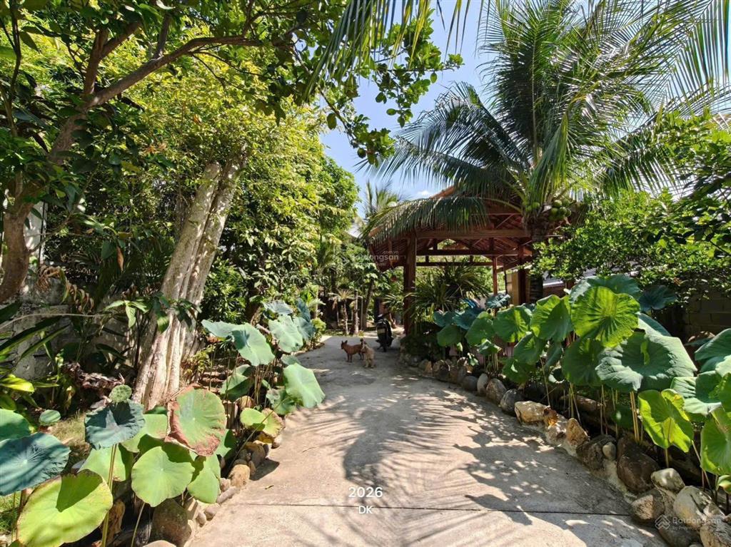Cho thuê nhà sân vườn khu vĩnh thái diện tích 800m2 có sân vườn rộng, 3 phòng ngủ,giá thuê 30 triệu