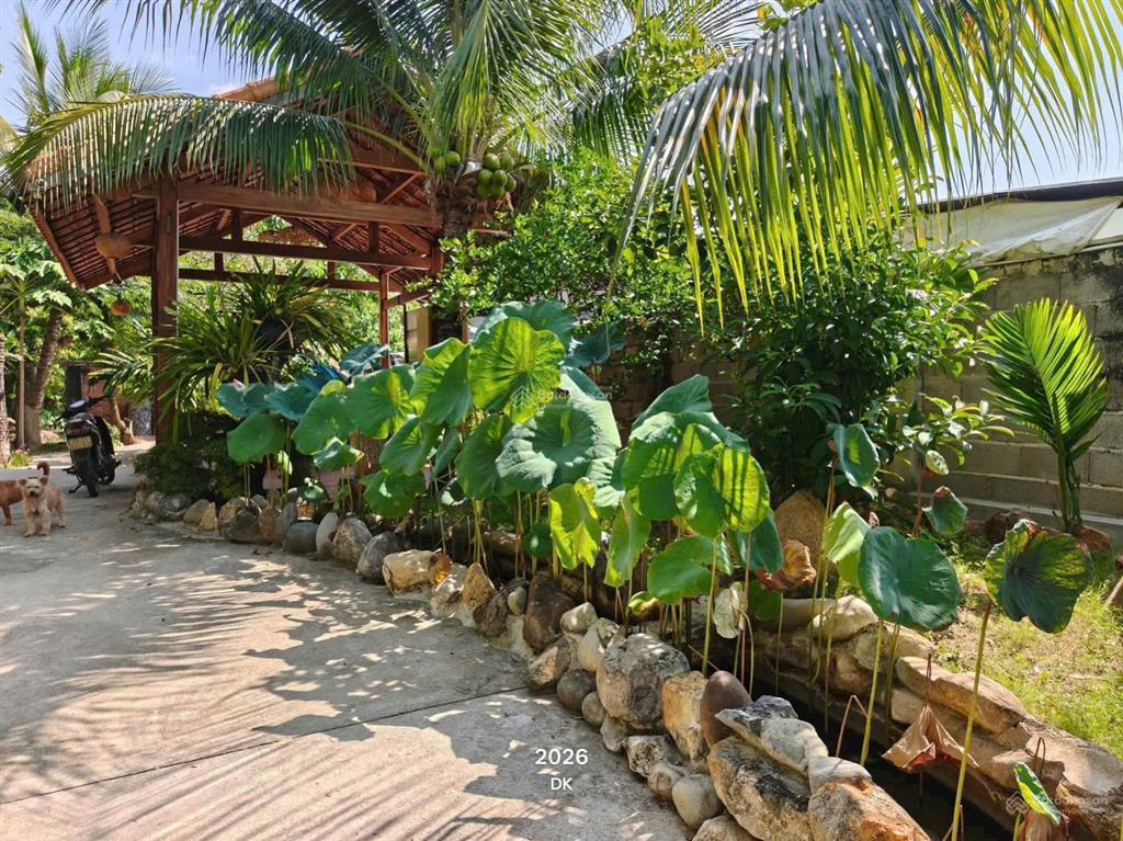 Cho thuê nhà sân vườn khu vĩnh thái diện tích 800m2 có sân vườn rộng, 3 phòng ngủ,giá thuê 30 triệu