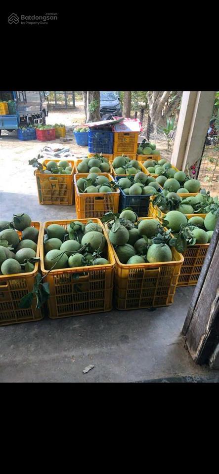 Kẹt vốn chủ bán rẻ trang trại nhầ vườn khánh phú dt 12.467m2 có 1000m thổ cư,giá chưa đến 600.000/m