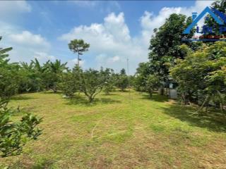 Bán đất vườn 2000m2 view sông xã tân bình, vĩnh cửu đồng nai. giá 12 tỷ