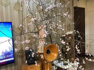 Golden palace mễ trì. bán căn hộ đẹp 4 ngủ 141m tầng trung, full nội thất, sẵn sổ, giá 12.5 tỷ bp