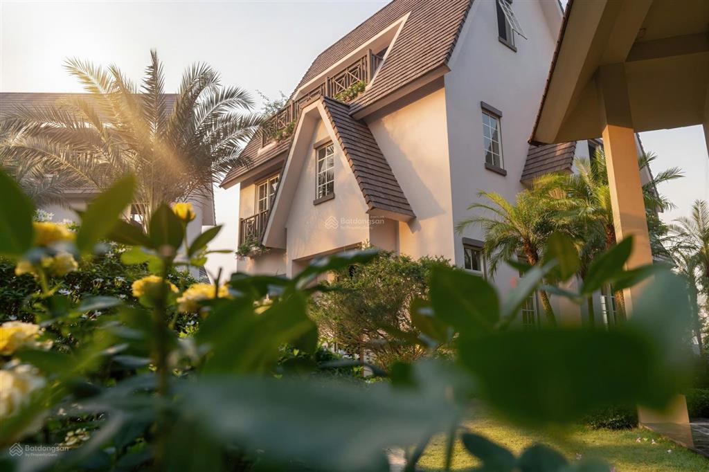 Sở hữu biệt thự trên đảo  dự án ecopark vinh