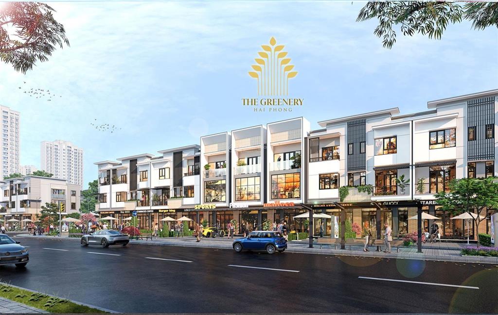 Bán nhà phố shophouse 3 tầng 80 m2 tại dự án the greenery hải phòng kinh doanh được luôn