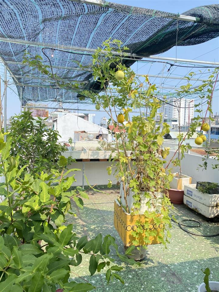 Kẹt tiền bán nhà hẻm 5m đường nguyễn suý gần chợ tân hương 3 lầu nhà đẹp vào ở ngay