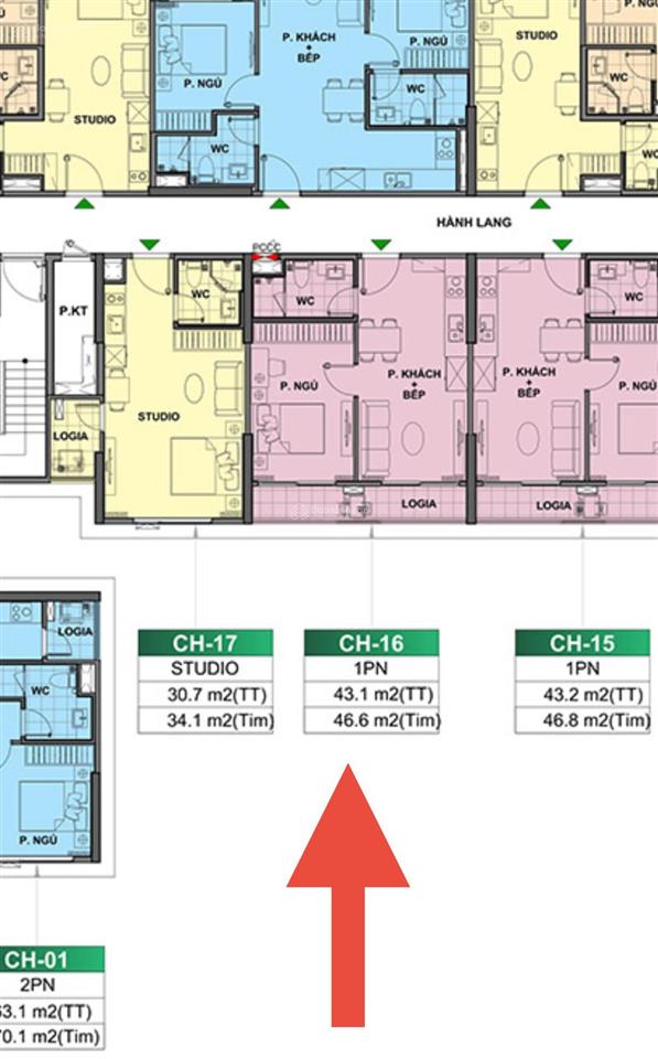 Chính chủ cần bán căn 1n 43m be2 giá bán sớm 2 tỷ 9 thu nét.view thoáng,t6/2026 nhận nhà