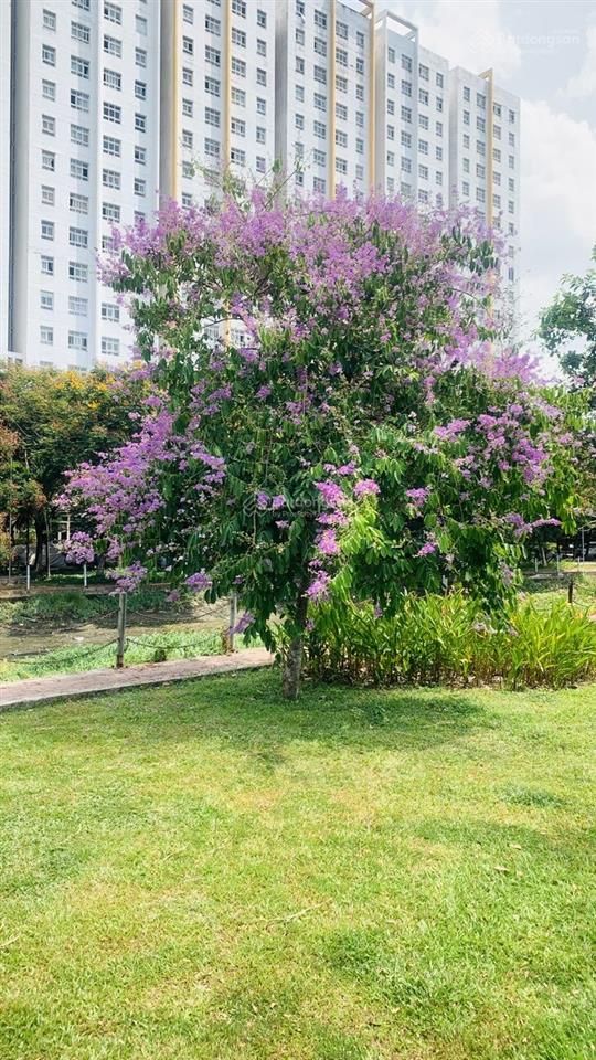 Bán gấp bán nhanh bán rẻ căn hộ góc sunview town hiệp bình thủ đức sẵn sổ hồng công viên ven sông