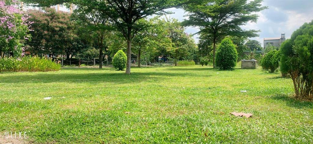 Cho thuê căn hộ sunview town giá rẻ 6,8trđ 2pn2wc công viên hồ bơi