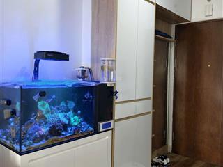 Chính chủ mình cần bán căn hộ ecohome 3 tòa n03. ban công hướng nam thoáng. xem bắn pháo hoa 5 điểm