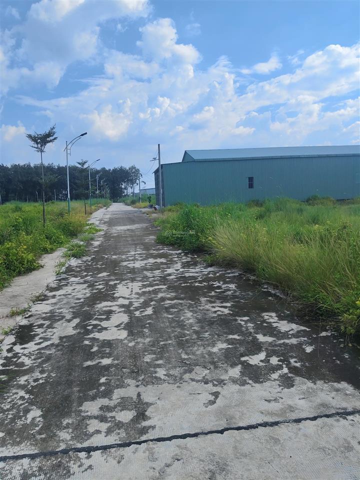 Sang nhượng kho xưởng phường minh hưng