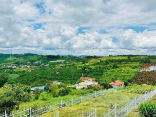 Bán lô đất vườn giáp thị trấn định quán 1091m2 (15mx82m) cách quốc lộ 20 900m chỉ 595 triệu