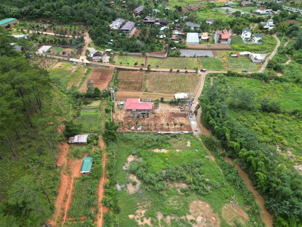 Đất nghỉ dưỡng dưới chân đèo prenn,dưới khu thầy minh niệm giáp rừng thông mr chí thiện bđs