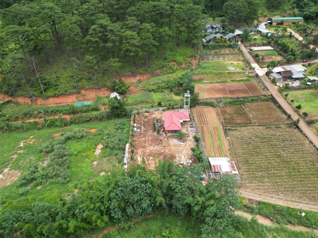 Đất nghỉ dưỡng dưới chân đèo prenn,dưới khu thầy minh niệm giáp rừng thông mr chí thiện bđs