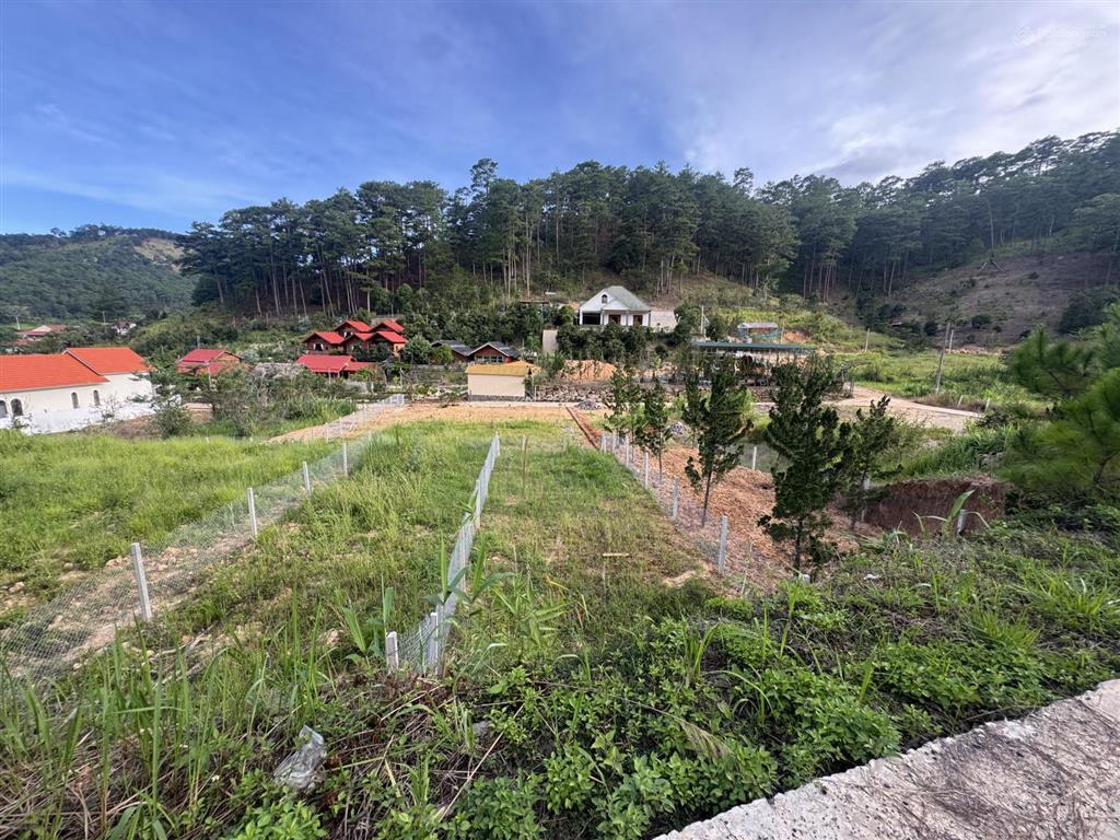 Bán đất làng nghỉ dưỡng dưới chân đèo prenn đối diện tea resort