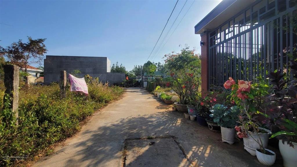 Bán đất nền 105m2 tại thị trấn phú long, 730 triệu cực chất! hot!