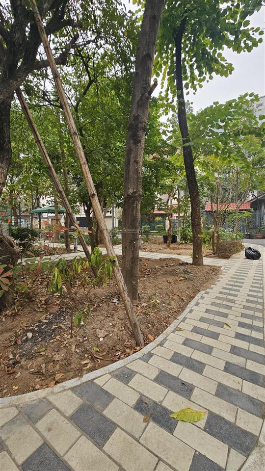 Biệt thự vườn đào tây hồ 325m2, 5 tầng thang máy full nội thất xịn sò. giá 170 tỷ bảo vệ 24/24