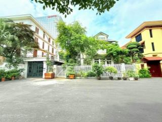 Bán biệt thự vườn đào lạc long quân khu cực vip 290m² mặt tiền 16m có hầm bán, giá 170 tỷ (ctl)