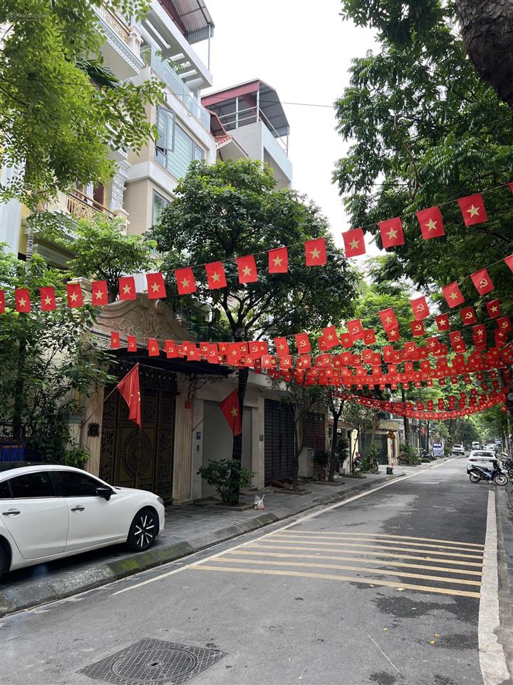 Cực hiếm phân lôkđt định côngtrần nguyên đán85m2, ô tô tránh, vỉa hè, cây xanhhơn 34 tỷ