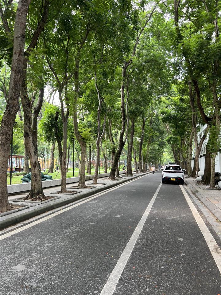 Cực hiếm phân lôkđt định côngtrần nguyên đán85m2, ô tô tránh, vỉa hè, cây xanhhơn 34 tỷ