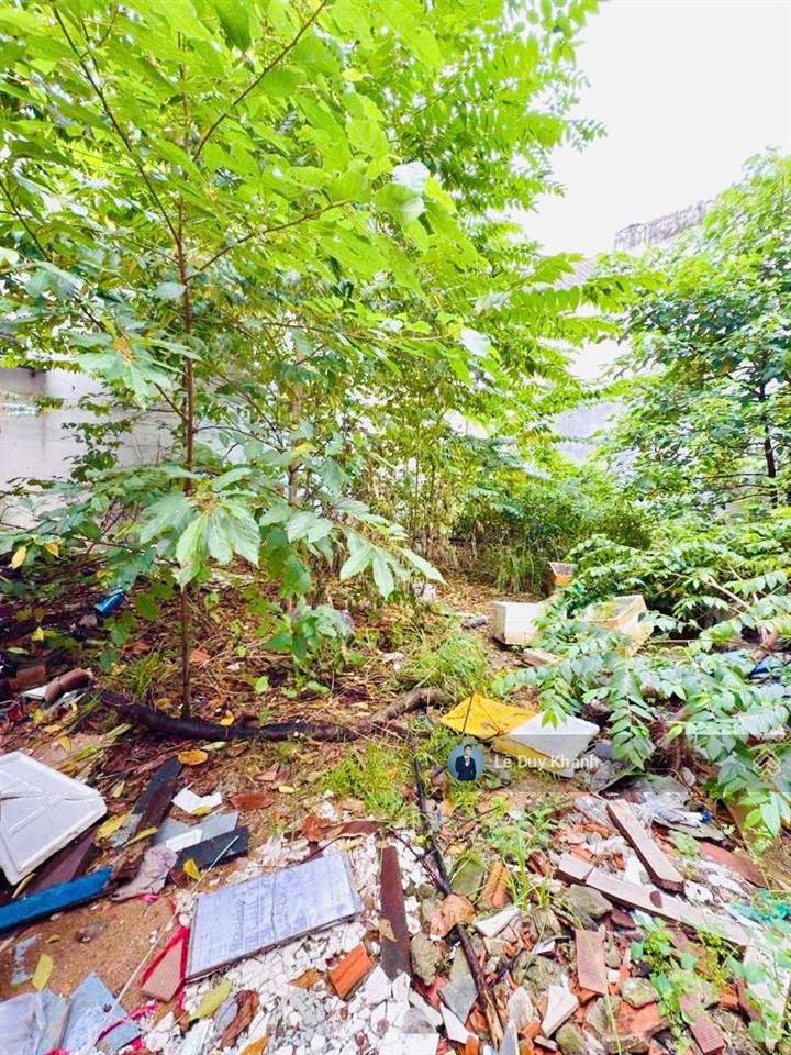 Siêu hiếm bán lô đất đẹp 100m2 (8m x 12m)  xây chdv  hẻm xe hơi p.25 ngay trường đh ngoại thương