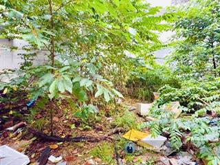 Siêu hiếm lô đất đẹp 100m2  ngang đẹp 8m  hẻm xe hơi p.25 ngay đh ngoại thương  xây chdv