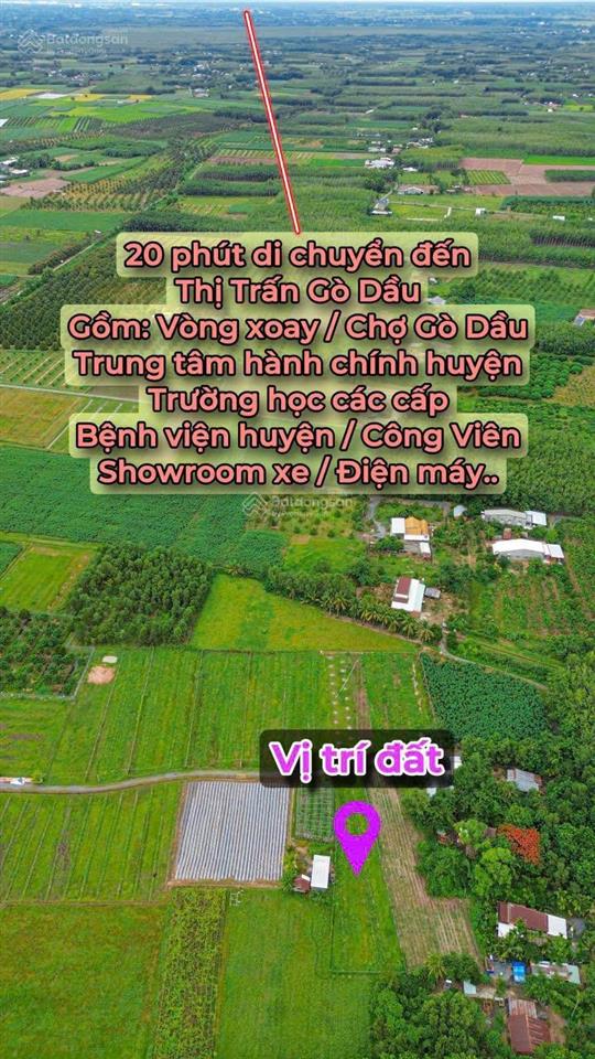 Đất đẹp 100% thổ cư, 20 x 55m giá 2,9 tỷ tl. thạnh đức gò dầu tây ninh