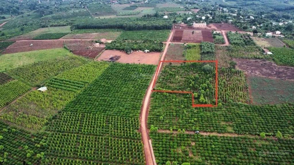 1 siêu phẩm view hồ định cư nghỉ dưỡng