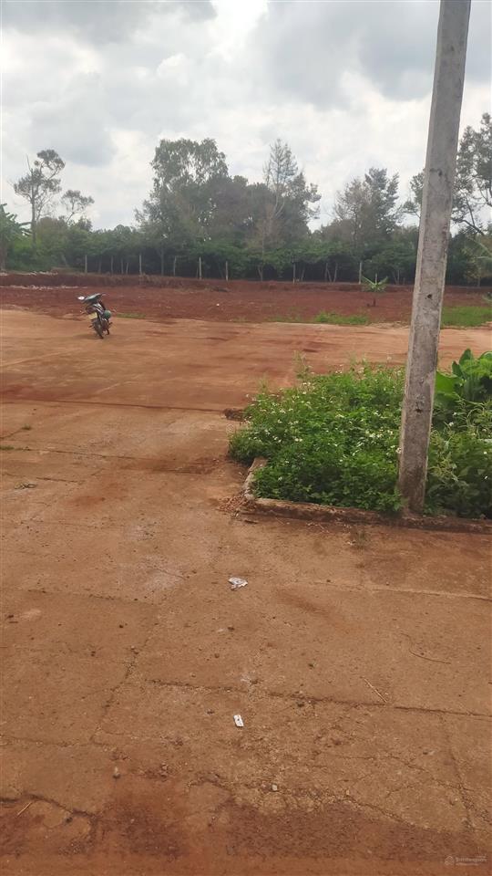 1 siêu phẩm có 102 tại trung tâm thị trấn đak đoa, sát cổng chính dự án flc