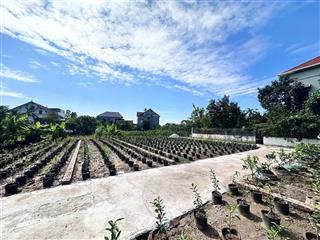 Bán đất f0 mới tinh ab quán trạch liên nghĩa, văn giang, hưng yên  0395 375 *** quang long